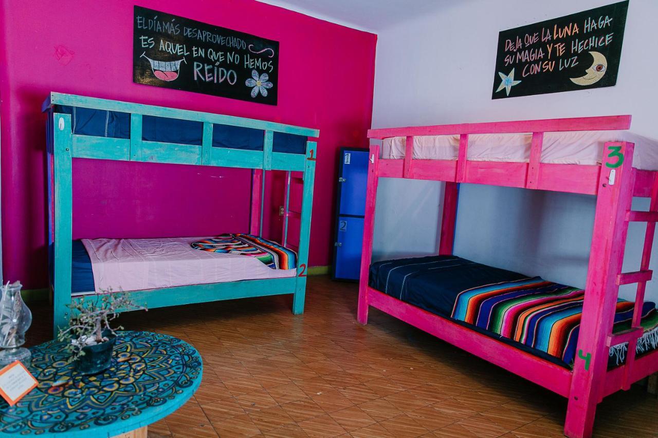 Hostal Chesal Σαν Λουίς Ποτοσί Εξωτερικό φωτογραφία