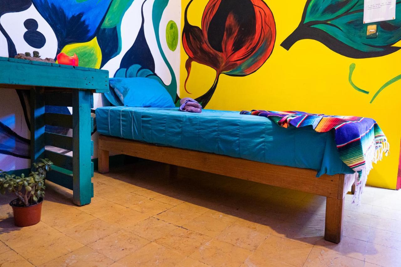 Hostal Chesal Σαν Λουίς Ποτοσί Εξωτερικό φωτογραφία