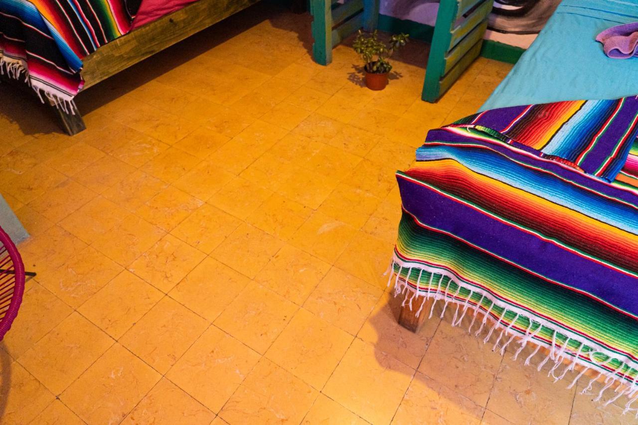 Hostal Chesal Σαν Λουίς Ποτοσί Εξωτερικό φωτογραφία