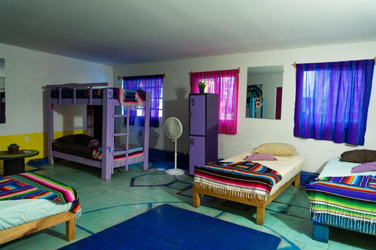 Hostal Chesal Σαν Λουίς Ποτοσί Εξωτερικό φωτογραφία
