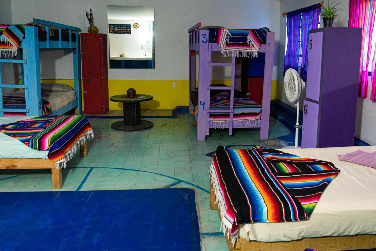 Hostal Chesal Σαν Λουίς Ποτοσί Εξωτερικό φωτογραφία