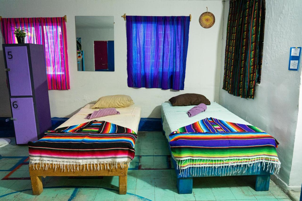 Hostal Chesal Σαν Λουίς Ποτοσί Εξωτερικό φωτογραφία