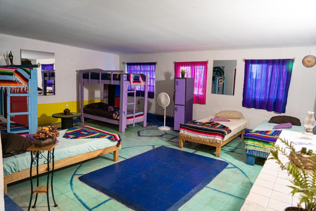 Hostal Chesal Σαν Λουίς Ποτοσί Εξωτερικό φωτογραφία