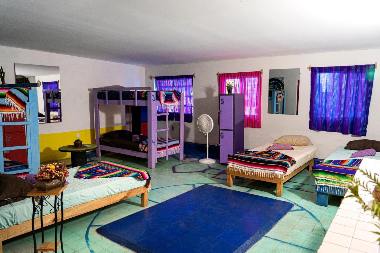 Hostal Chesal Σαν Λουίς Ποτοσί Εξωτερικό φωτογραφία